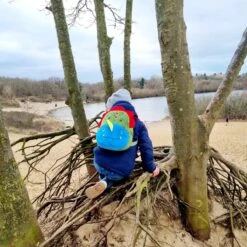 Dinosaurus Backpack - Rex - Peuter Rugtas – Rugzak Schooltas Voor Peuters/Kleuters – Jongens En Meisjes | Kinderrugzak | Kinder Rugzak | Dieren | Schooltas | Peuterspeelzaal | Opvang | 6 Liter | Klein Peuter Rugzak | Rugtas | Dino | T-Rex 9 Dinosaurus Backpack - Rex - Peuter Rugtas – Rugzak Schooltas Voor Peuters/Kleuters – Jongens En Meisjes | Kinderrugzak | Kinder Rugzak | Dieren | Schooltas | Peuterspeelzaal | Opvang | 6 Liter | Klein Peuter Rugzak | Rugtas | Dino | T-Rex -Optimaal Reisopslag Winkel 1200x1200 1266