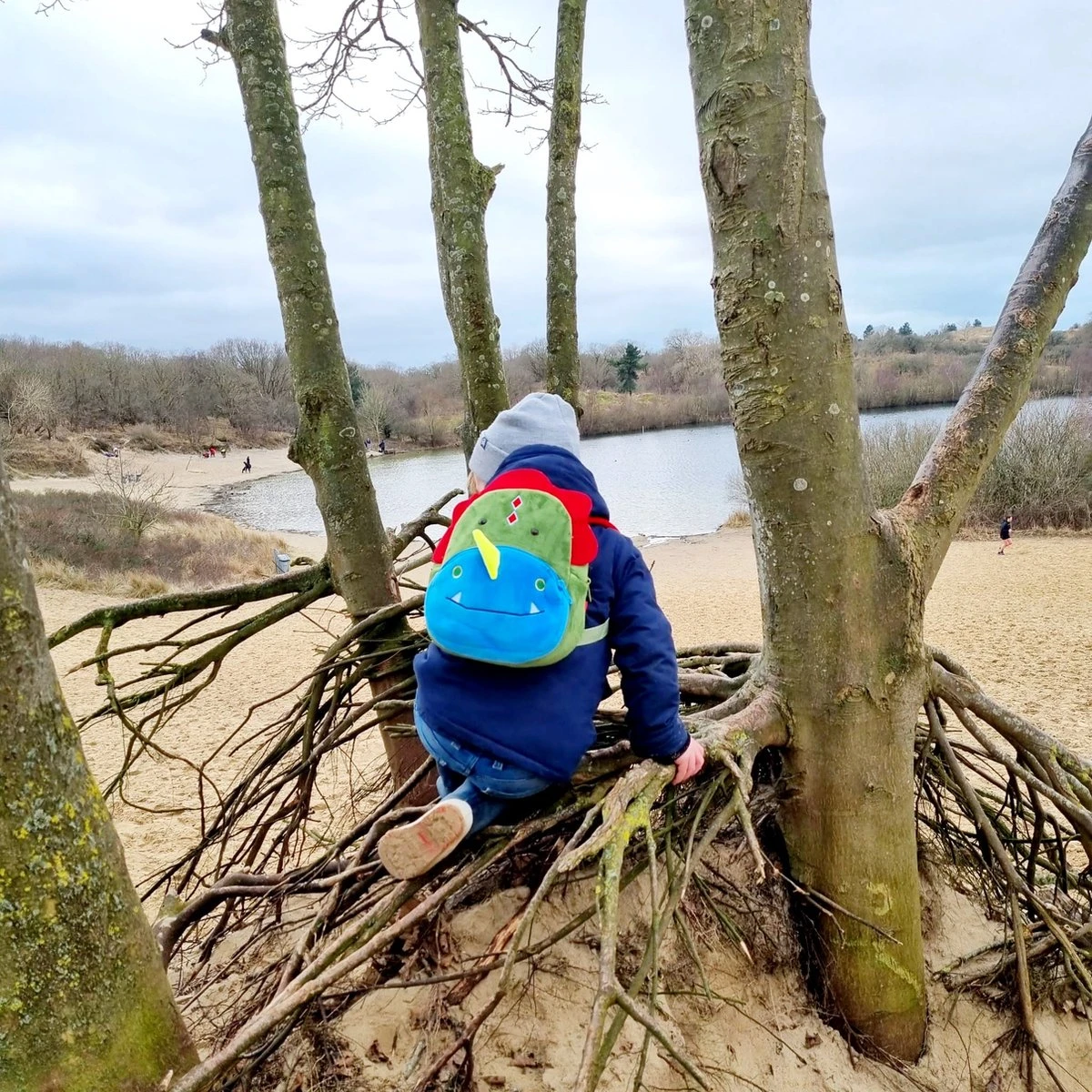 Dinosaurus backpack - Rex - Peuter rugtas – rugzak Schooltas voor Peuters/Kleuters – Jongens en Meisjes | Kinderrugzak | Kinder rugzak | Dieren | Schooltas | Peuterspeelzaal | Opvang | 6 liter | Klein peuter rugzak | Rugtas | dino | t-Rex Dinosaurus Backpack - Rex - Peuter Rugtas – Rugzak Schooltas Voor Peuters/Kleuters – Jongens En Meisjes | Kinderrugzak | Kinder Rugzak | Dieren | Schooltas | Peuterspeelzaal | Opvang | 6 Liter | Klein Peuter Rugzak | Rugtas | Dino | T-Rex -Optimaal Reisopslag Winkel 1200x1200 1266