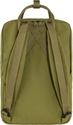 Fjallraven Kånken Laptoprugzak 15 Inch - Foliage Green -Optimaal Reisopslag Winkel 705x1200 2